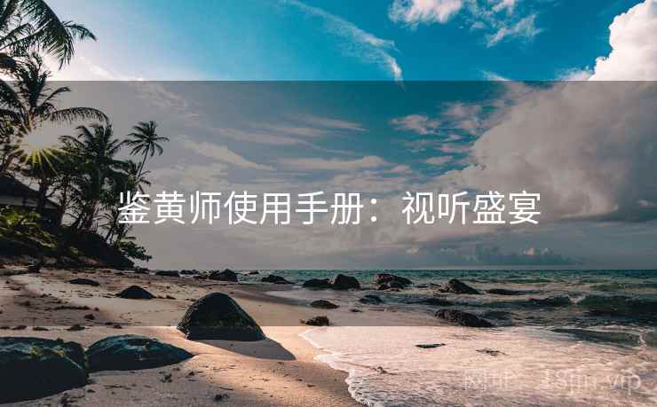 鉴黄师使用手册：视听盛宴