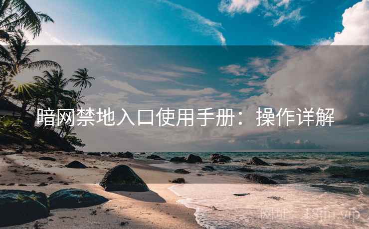 暗网禁地入口使用手册：操作详解