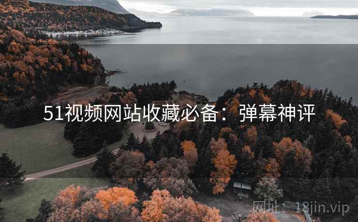 51视频网站收藏必备：弹幕神评